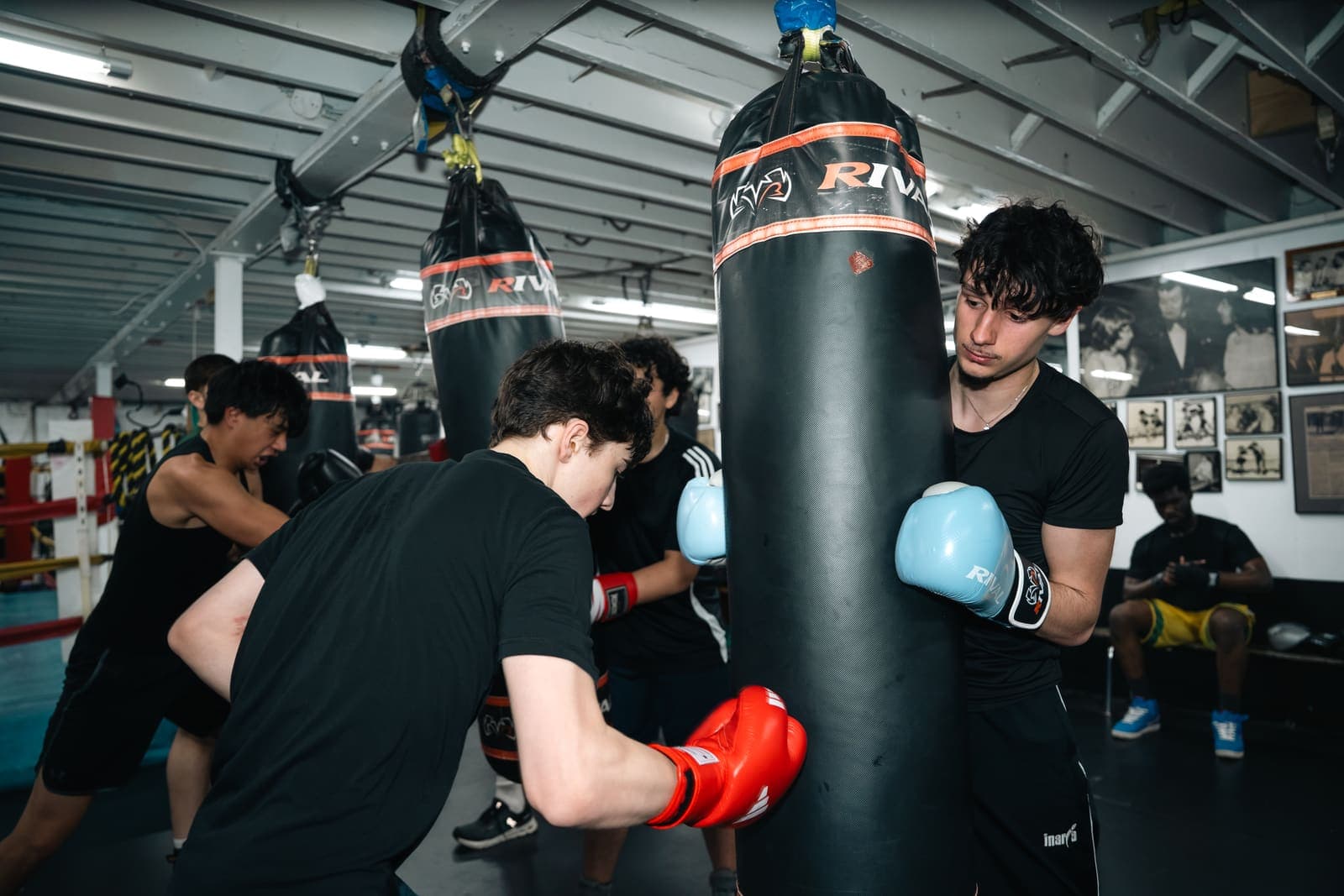 Youth boxers training together at Sully's