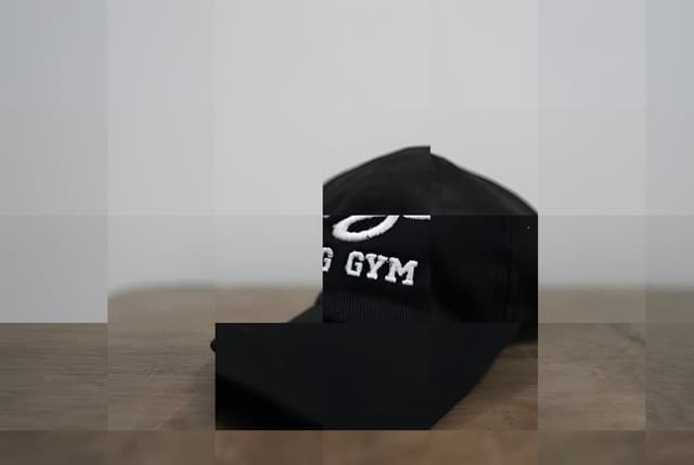 Sully's Baseball Hat