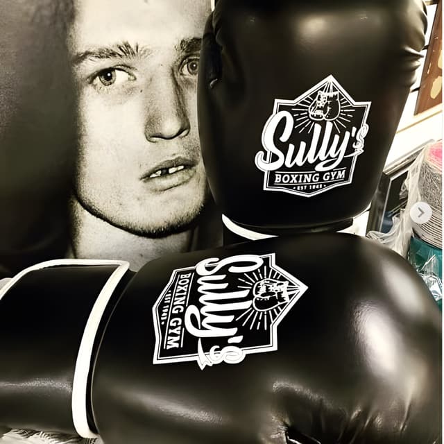 Sully's Boxing Gloves — Black