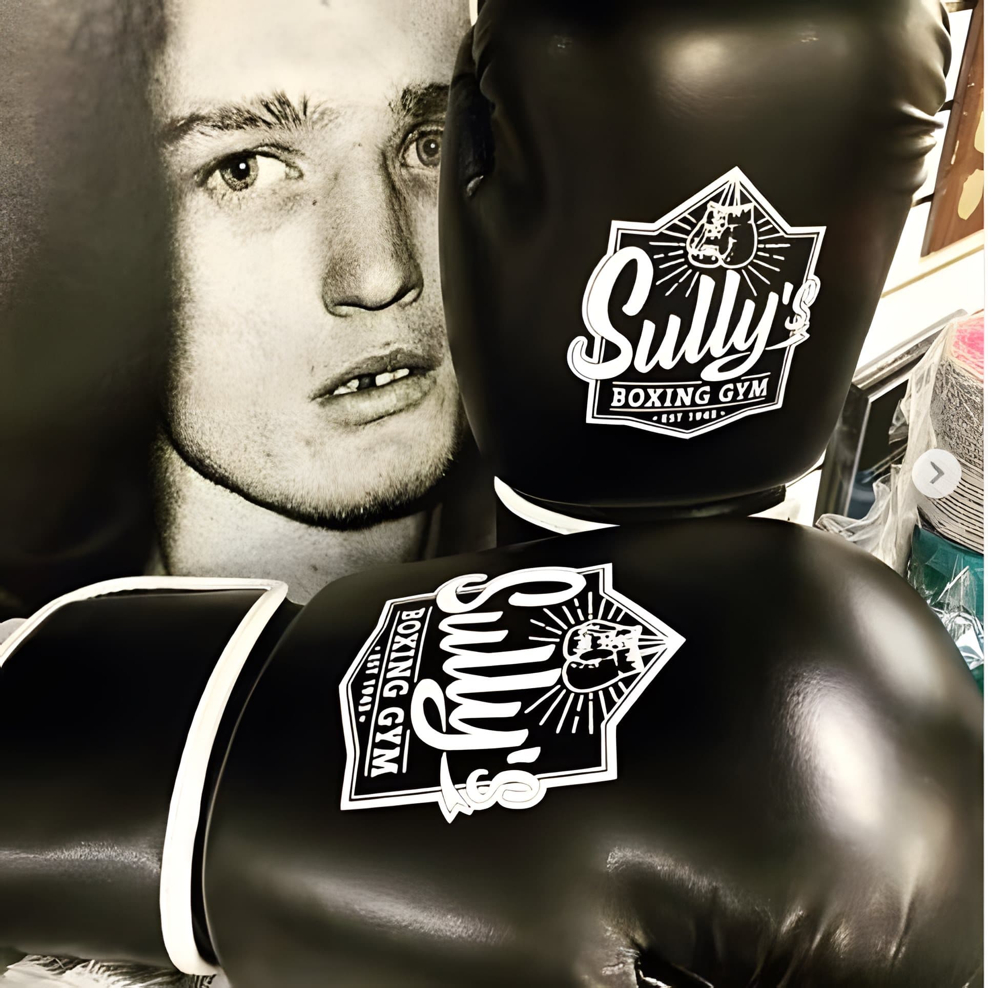 Sully's Boxing Gloves — Black